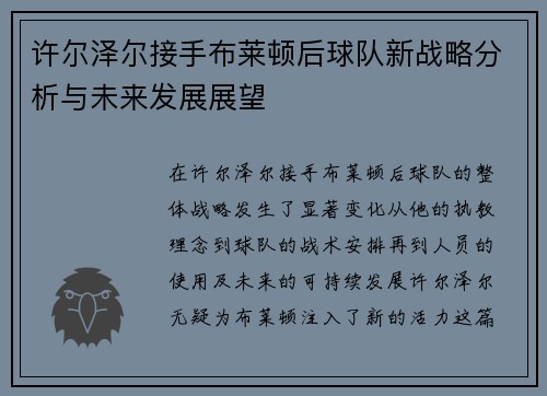 许尔泽尔接手布莱顿后球队新战略分析与未来发展展望